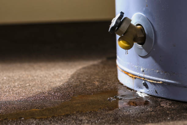 Best 24/7 water damage repair  in The Pinery, CO