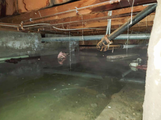 Step-by-Step Water Damage Restoration Procedure