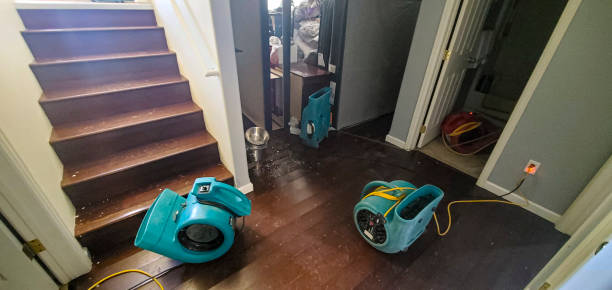 Best Water damage restoration services  in The Pinery, CO