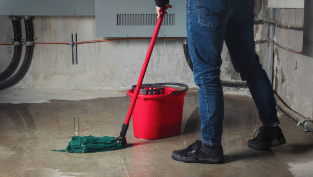 Water damage restoration mold remediation in CO