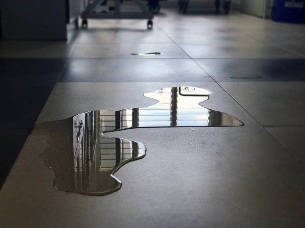 Best 24/7 water damage repair  in The Pinery, CO