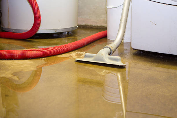Best Water damage restoration near me  in The Pinery, CO