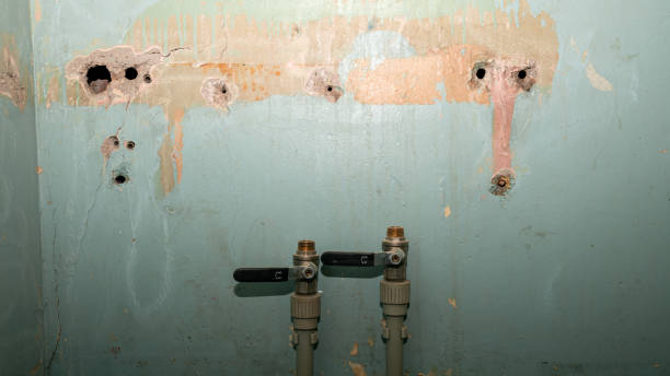 Best Carpet water damage restoration  in The Pinery, CO