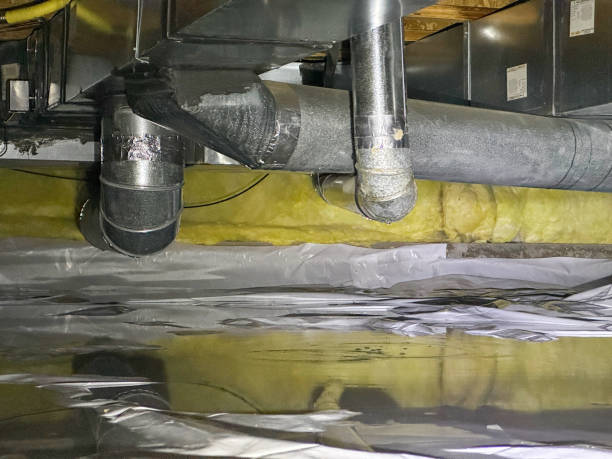 Best Sewage cleanup and water damage restoration  in The Pinery, CO