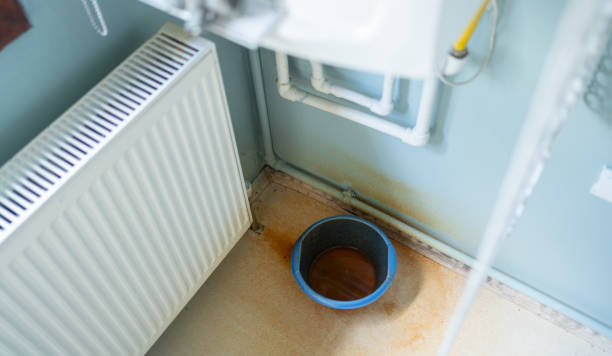 Best Flood damage cleanup  in The Pinery, CO