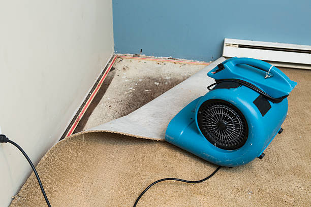 Best Commercial water damage restoration  in The Pinery, CO